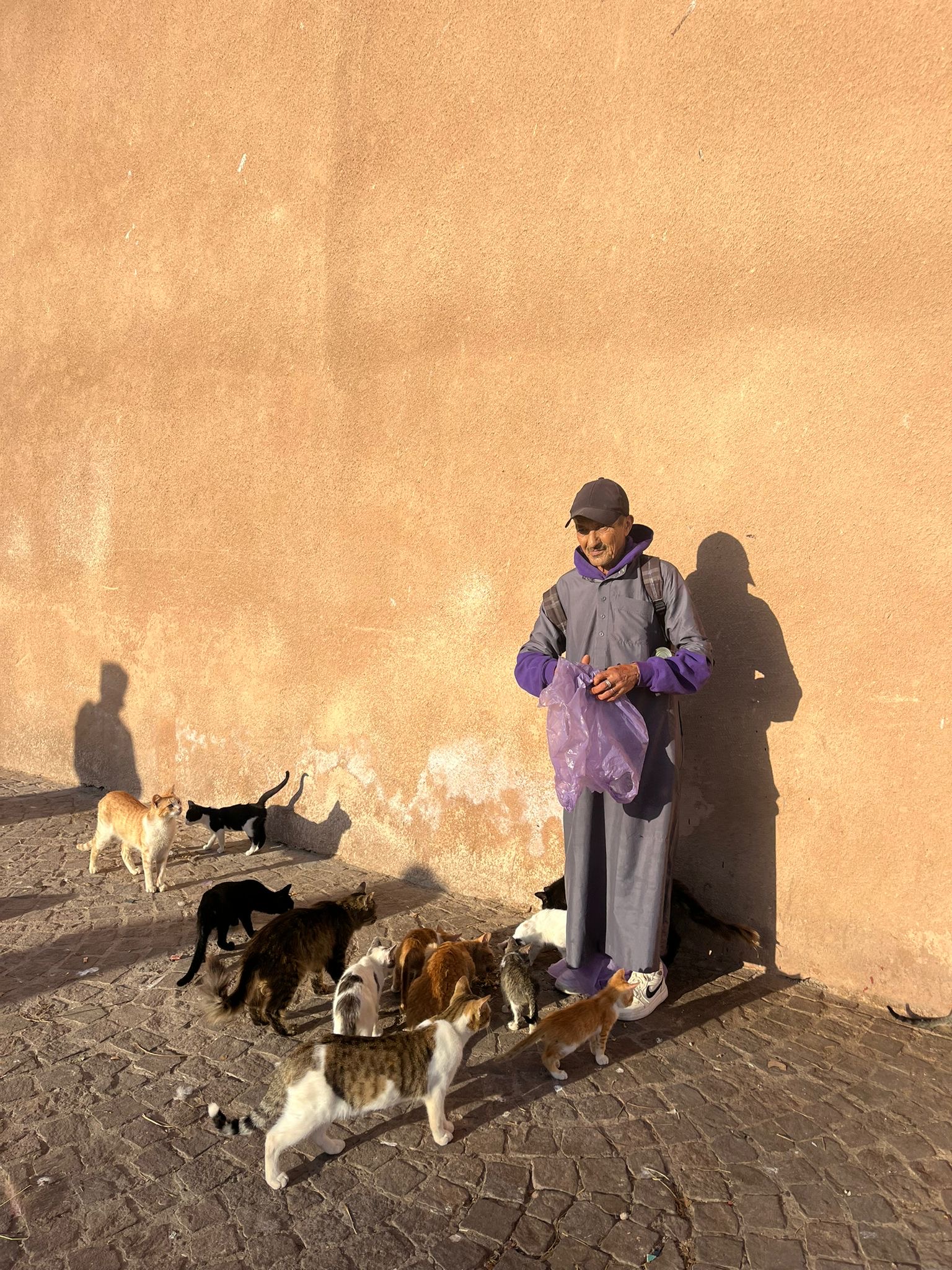 Pet-Caring 2